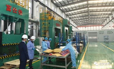 自然資源部領(lǐng)導(dǎo)赴淮調(diào)研 深化節(jié)約集約利用，評(píng)估成效促發(fā)展